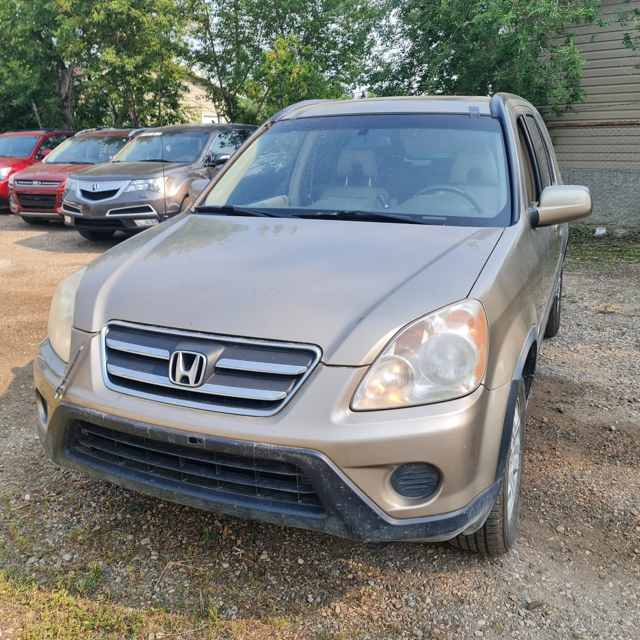 WhatsApp Image 2025-09-08 at 00.20.40