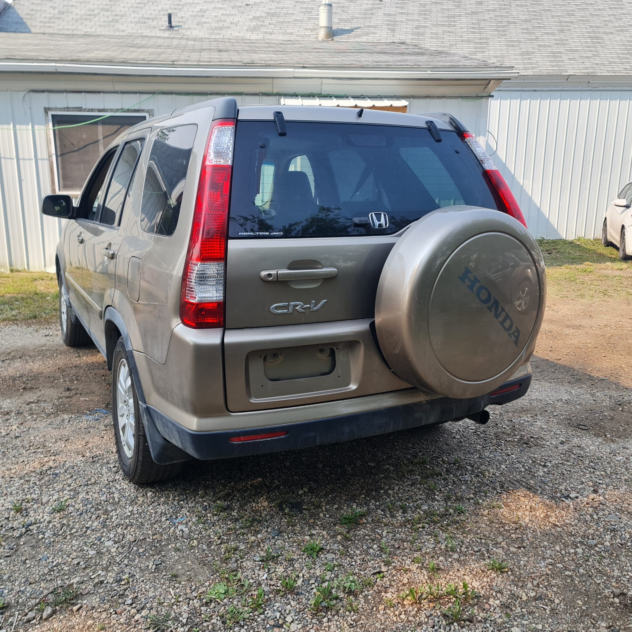 WhatsApp Image 2025-09-08 at 00.20.41 (1)