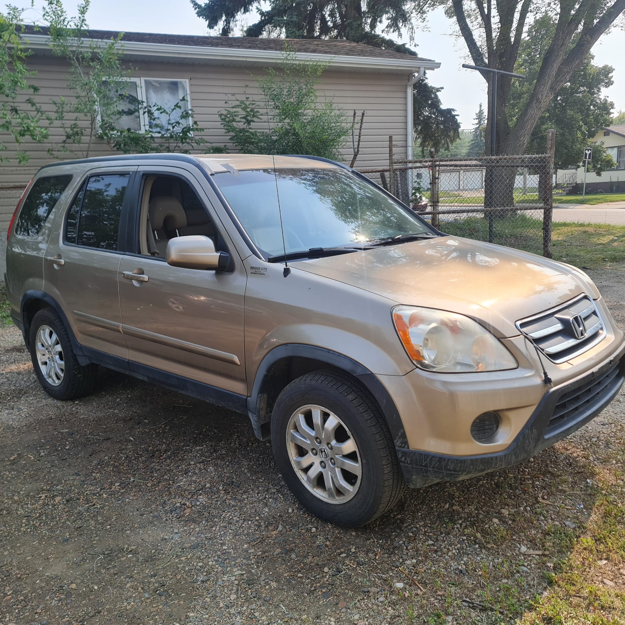 WhatsApp Image 2025-09-08 at 00.20.41 (3)