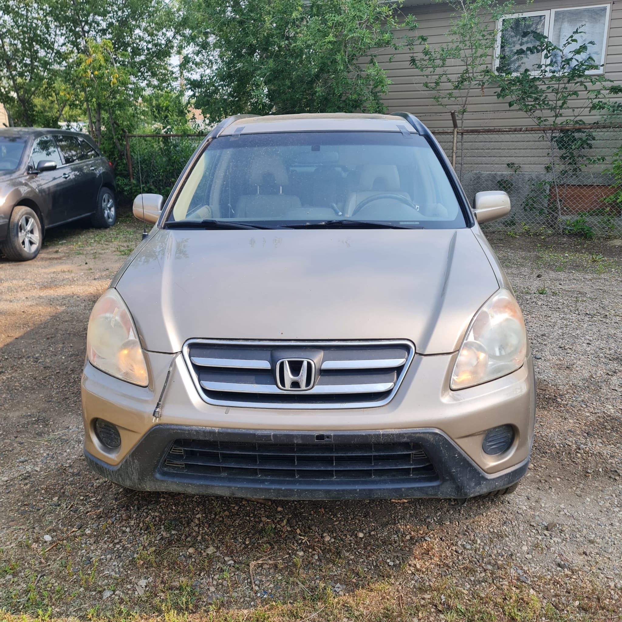 WhatsApp Image 2025-09-08 at 00.20.41 (4)