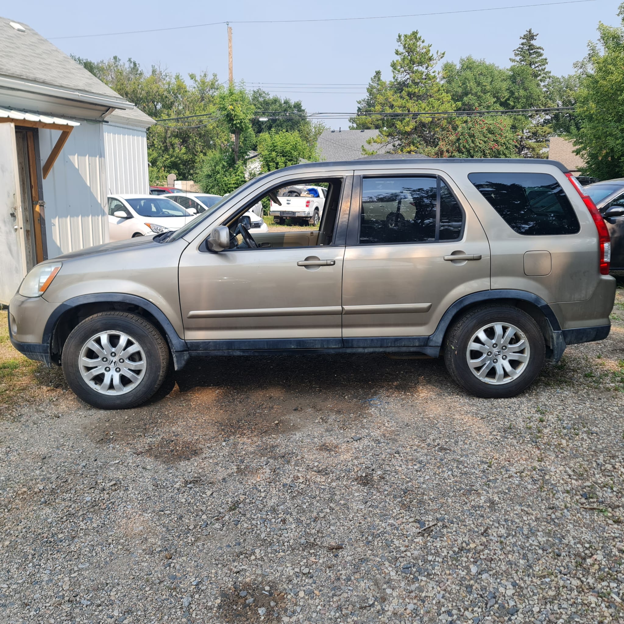 WhatsApp Image 2025-09-08 at 00.20.41